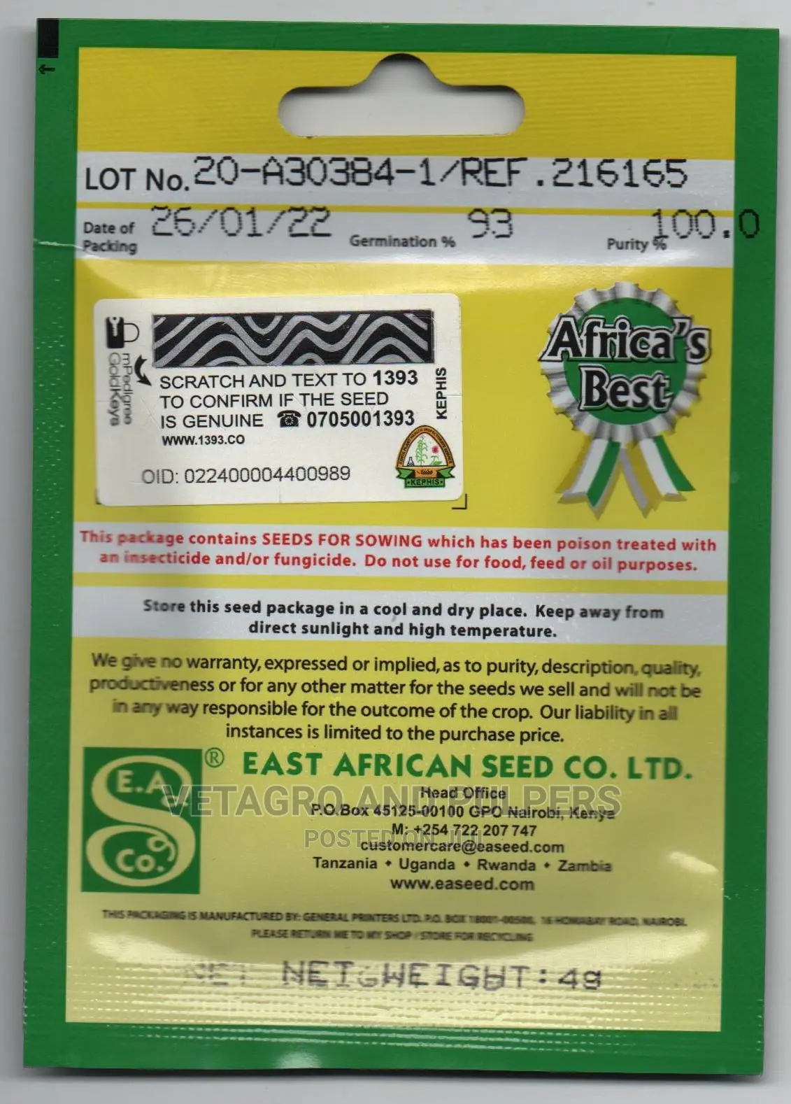 Easeed Pumpkin Small Sugar