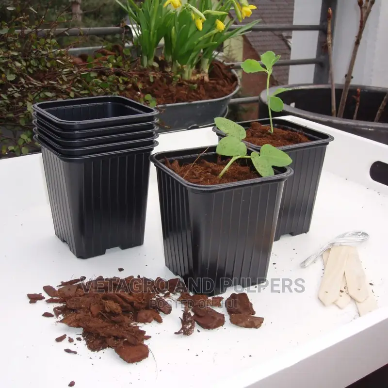 Plastic Propagation(Planting) Pot 7 X 7 X 6.5 Cm, Pack Of 12