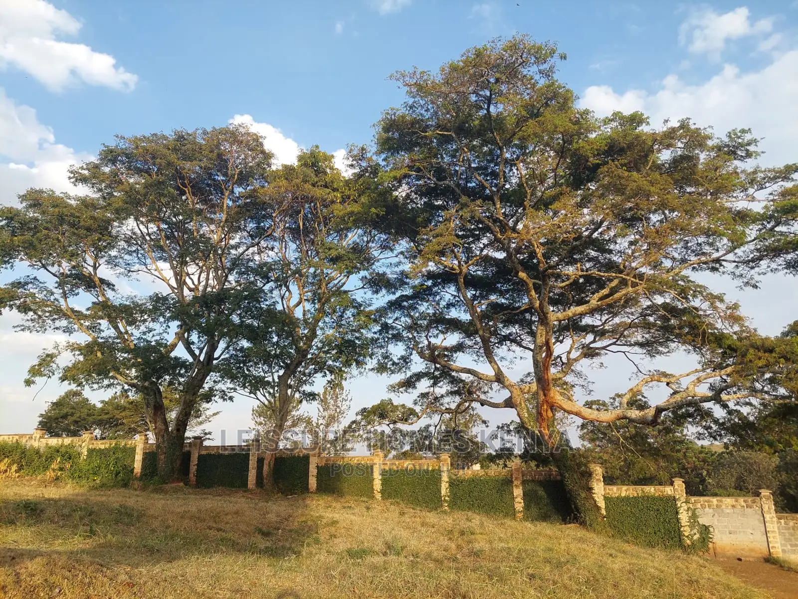 1/8 Acre Golf Front Plot