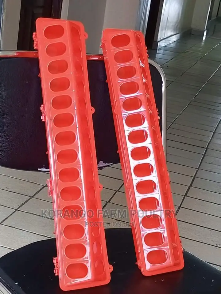 Chick Feeders