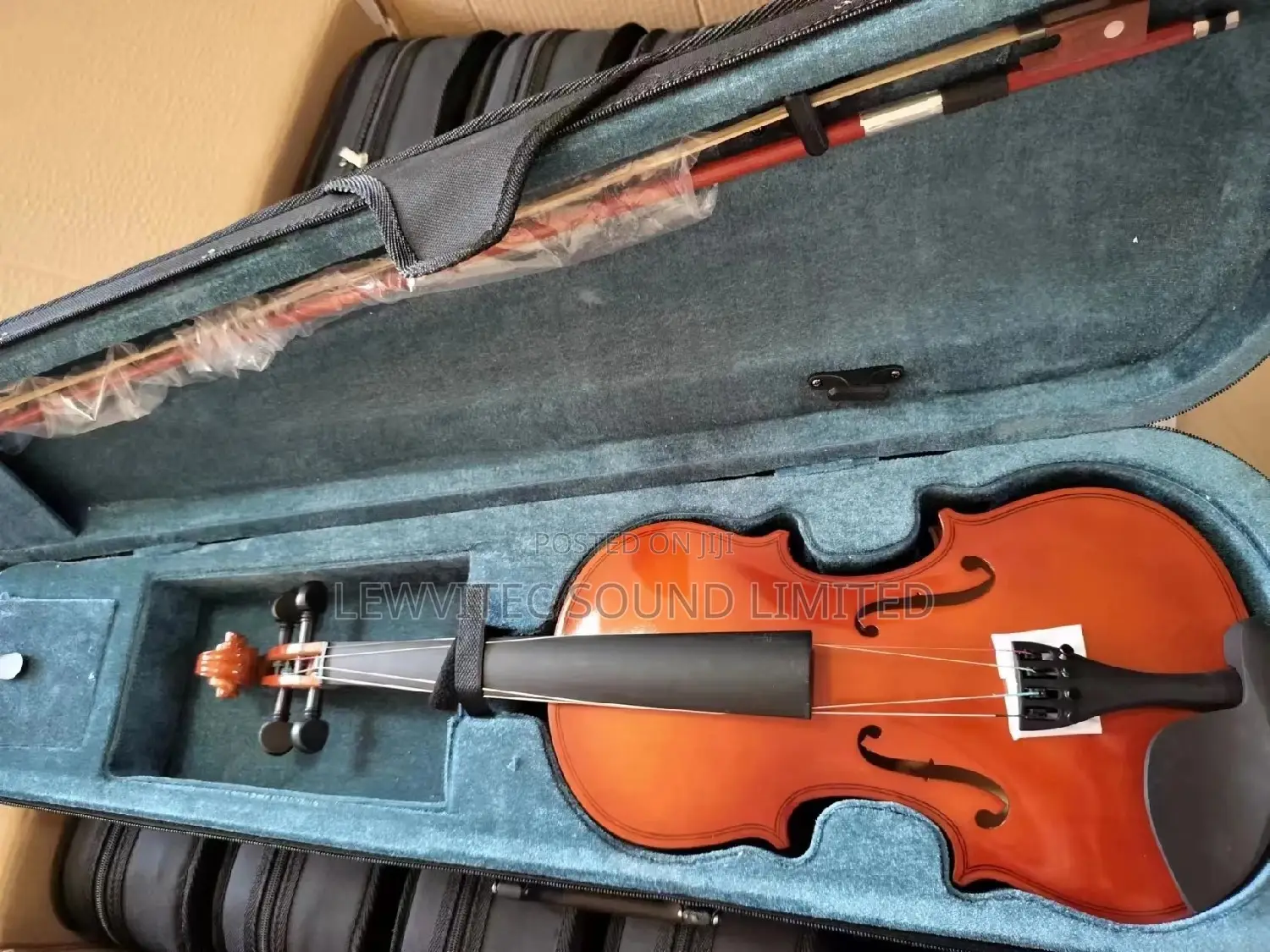 Marple Leaf Bluish Violin