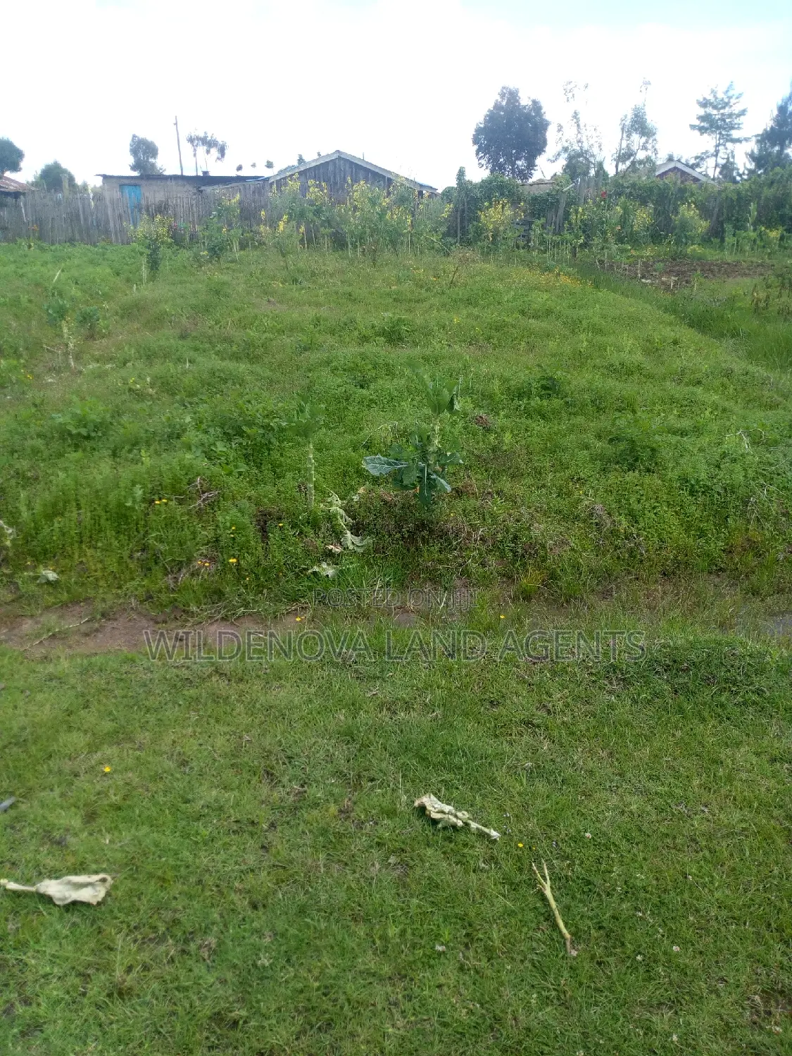 A Plot Of 50*100ft Plot On Sale At Magumu
