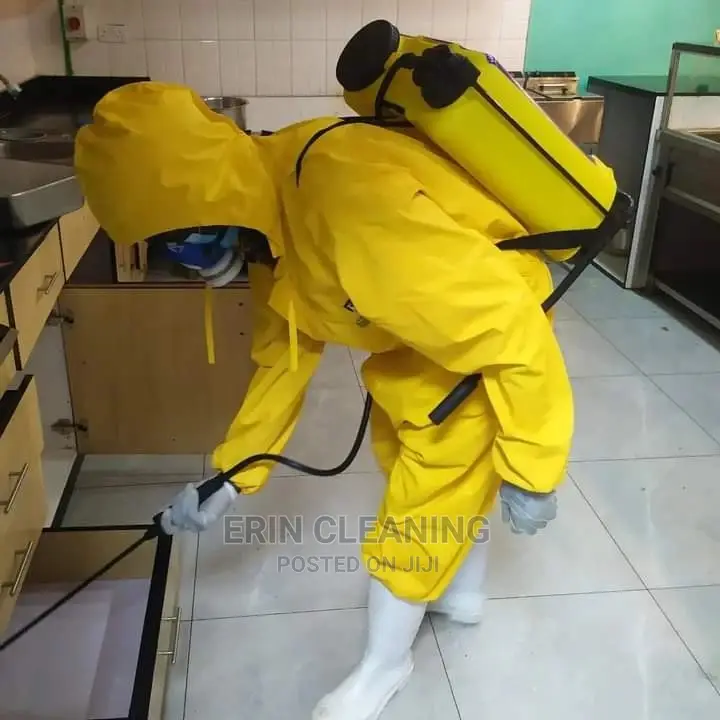 Affordable Cockroaches and Bedbugs Services