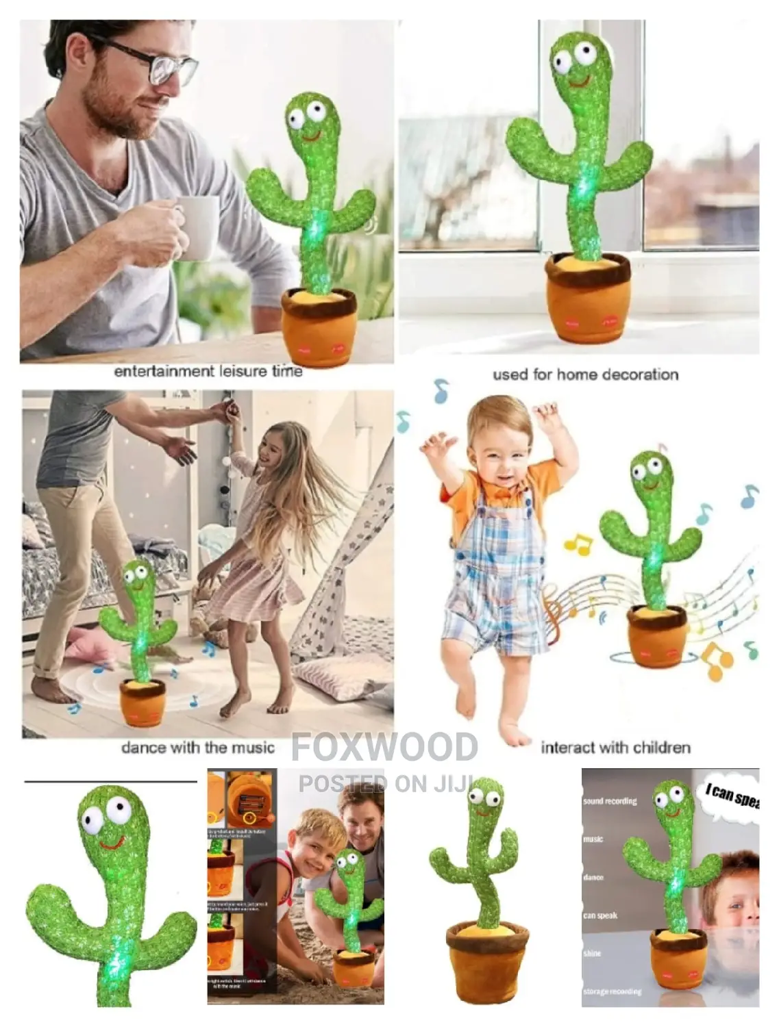 Dancing Cactus,Talking Cactus Toy