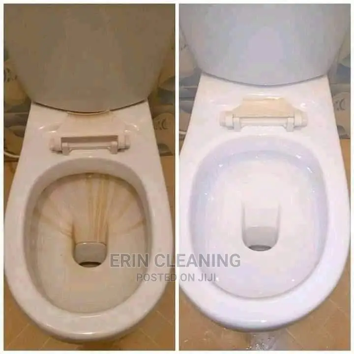 Bowls and Toilet Cleaning