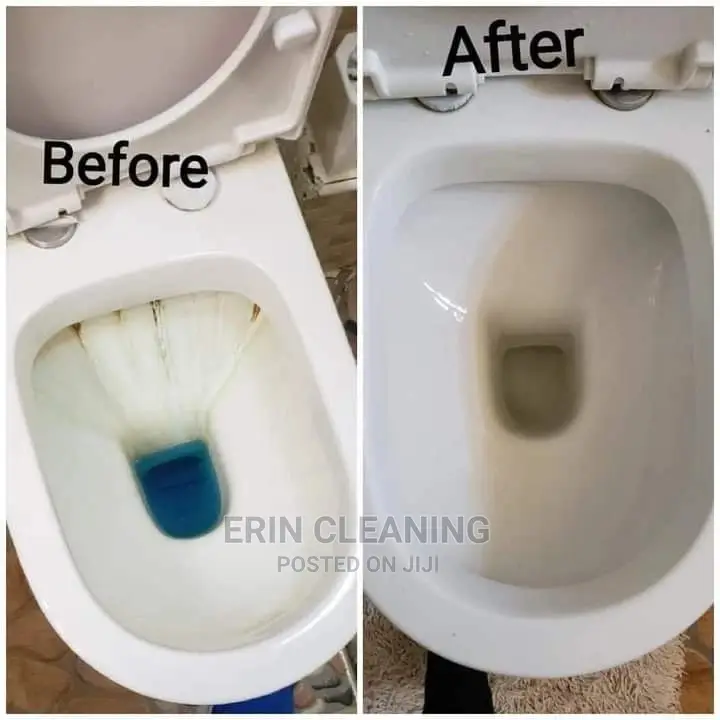 Bowls and Toilet Cleaning