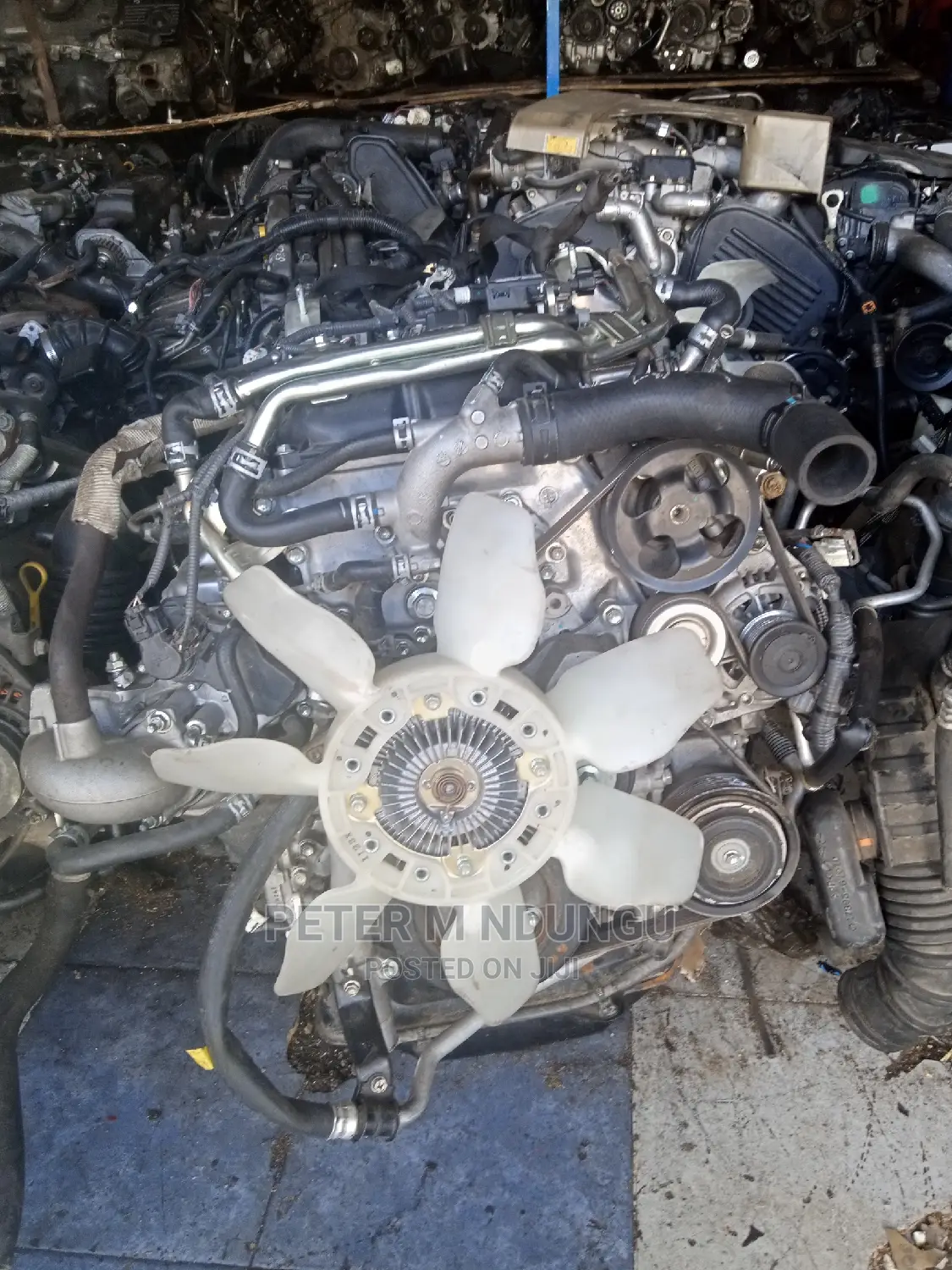 Motor Vehicle Parts