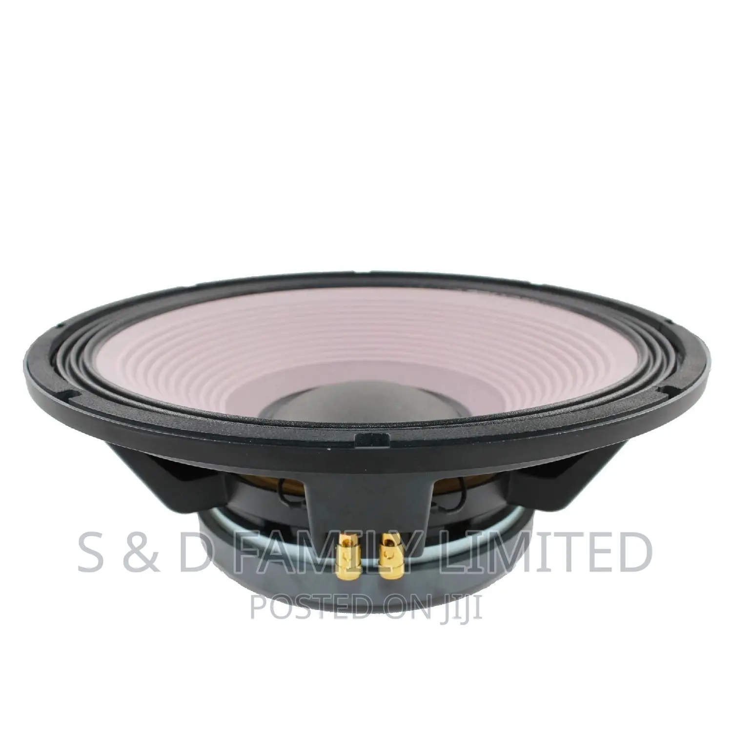 JBL Bass Speaker