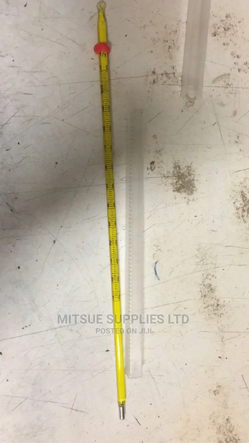 A Pair Of Mercury Thermometer