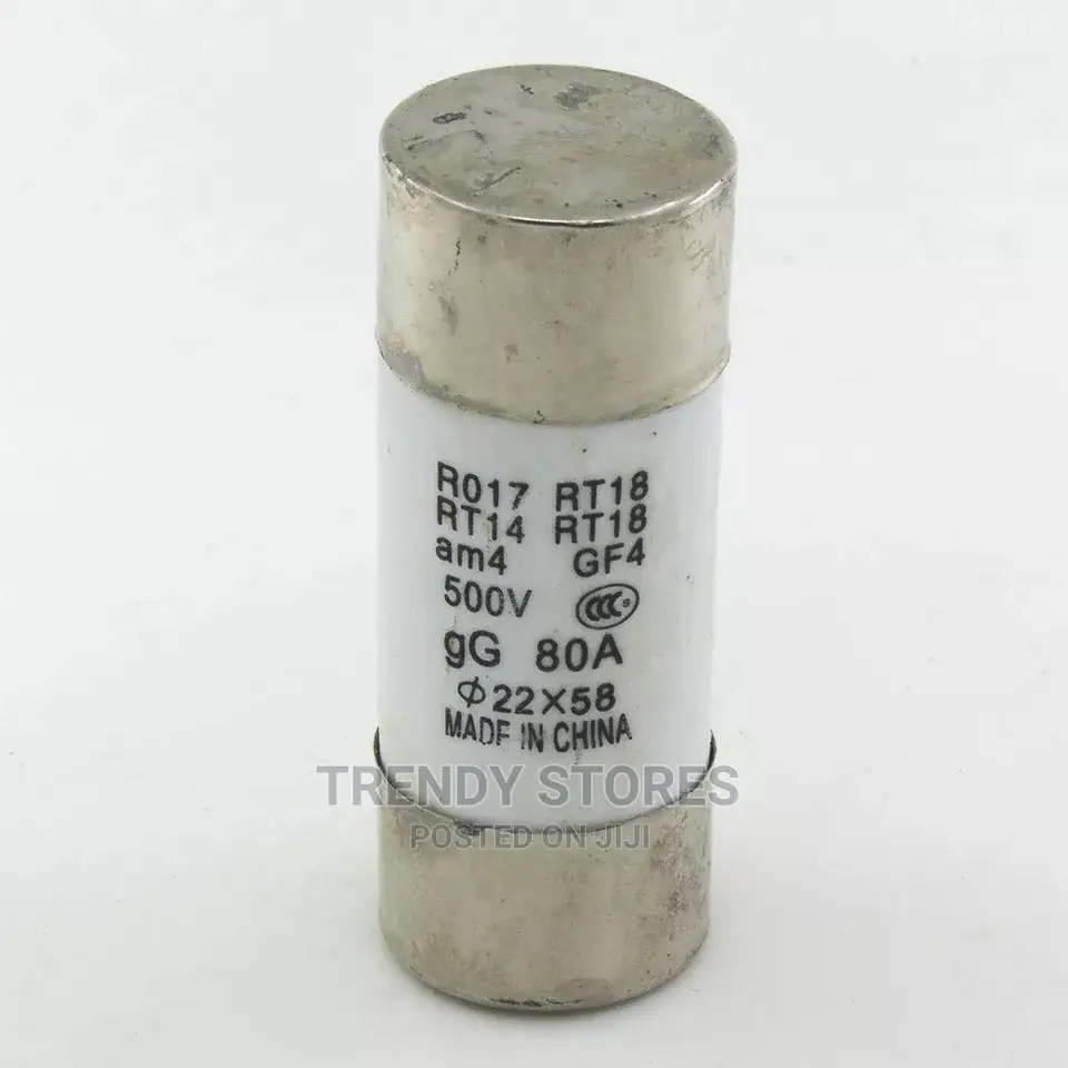 Creamic Cut Off Tube Fuse 80A