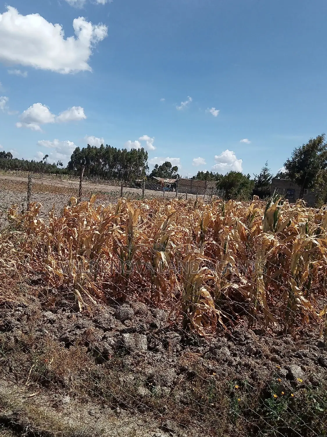 1/2 Acre on Sale at Flyover Kinangop