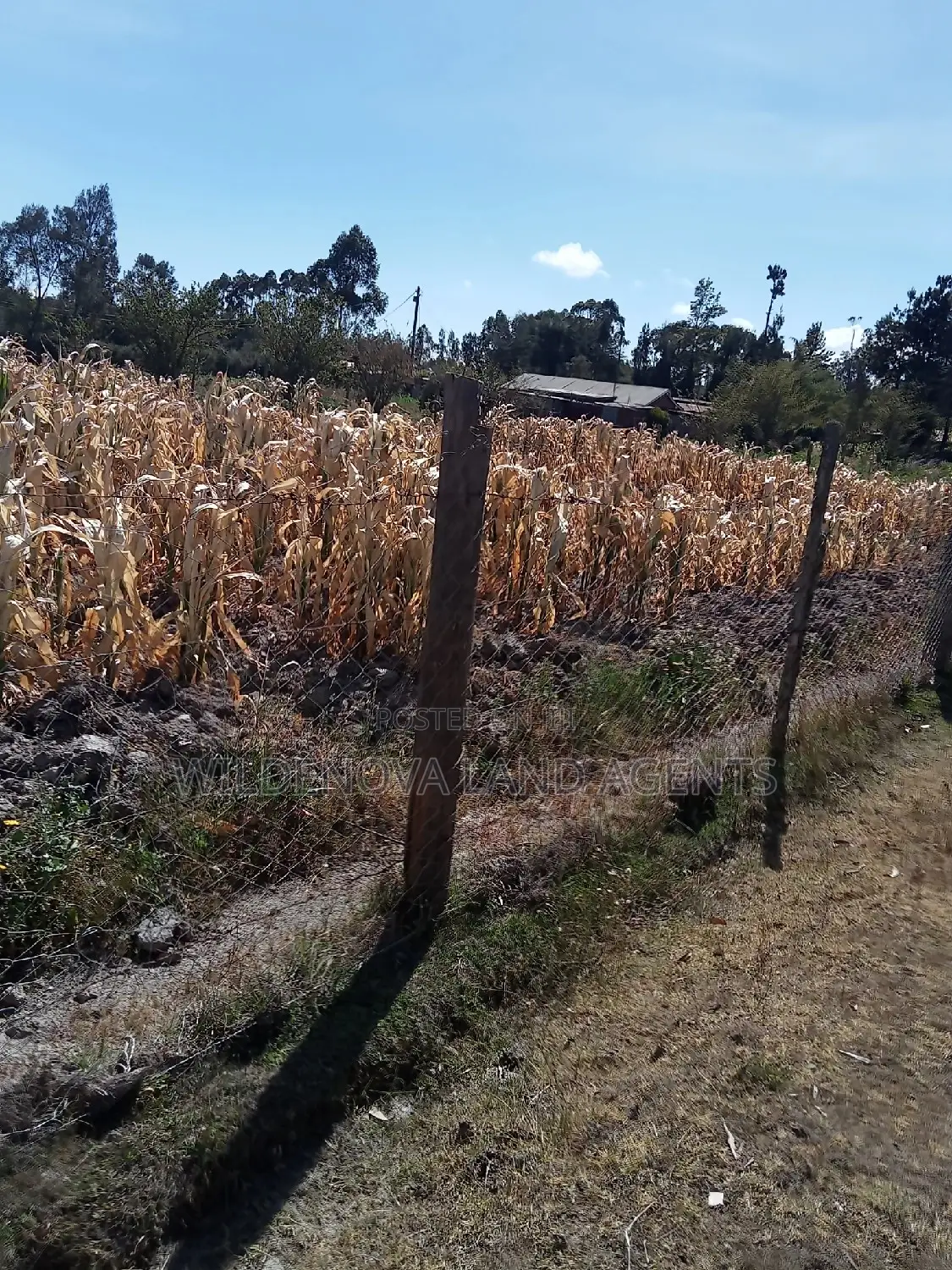 1/2 Acre on Sale at Flyover Kinangop