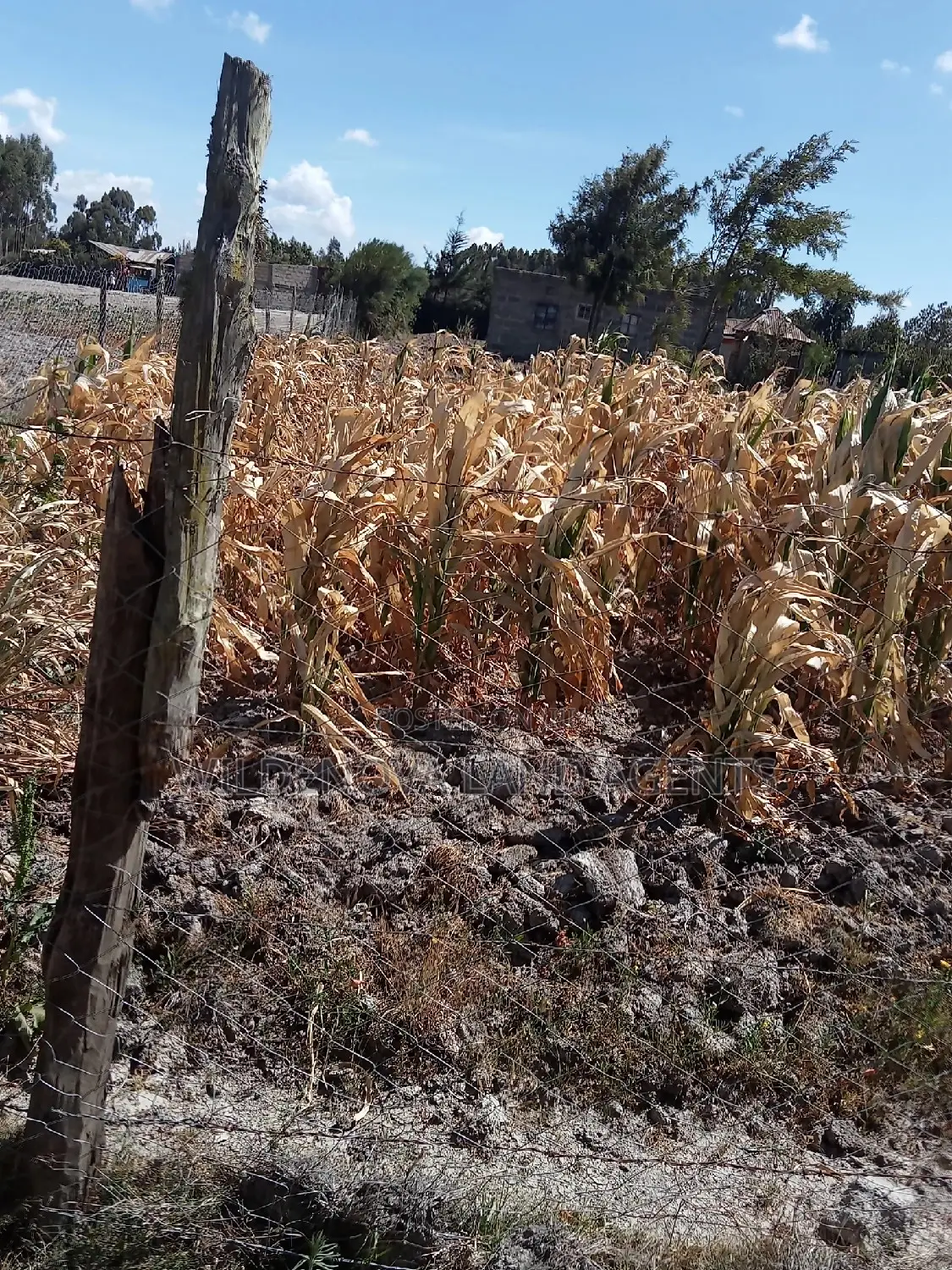 1/2 Acre on Sale at Flyover Kinangop