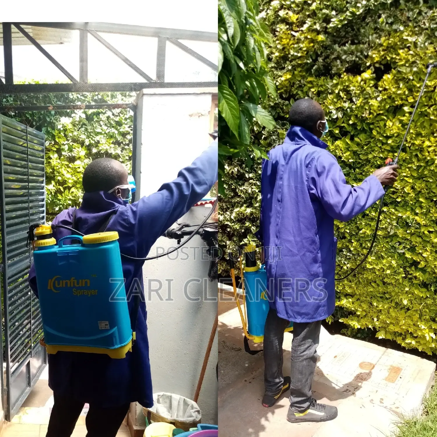 Home/Compound Fumigation in Mwiki