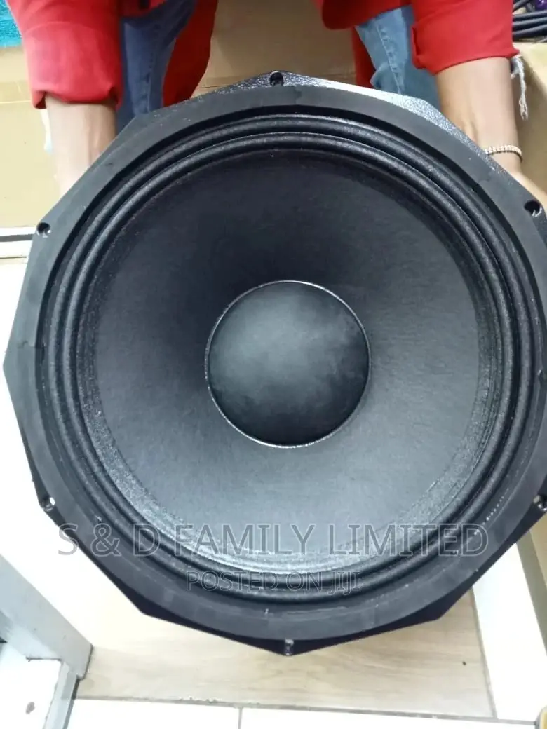 PD 18 Bass Speaker