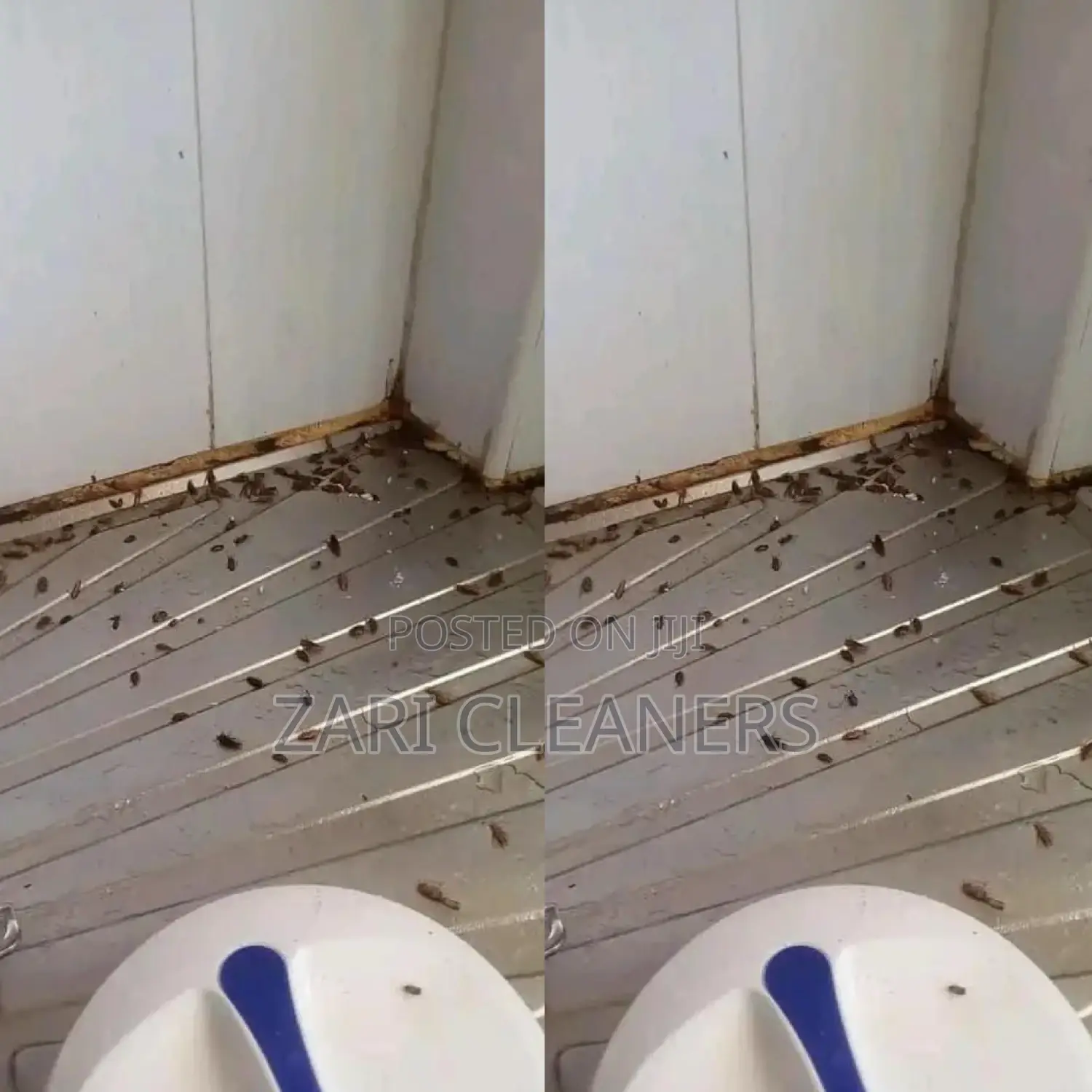 Kitchen Fumigation in Kariobangi
