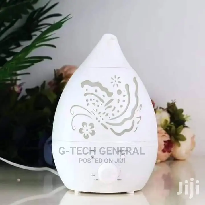 Generic 1.3l Humidifier