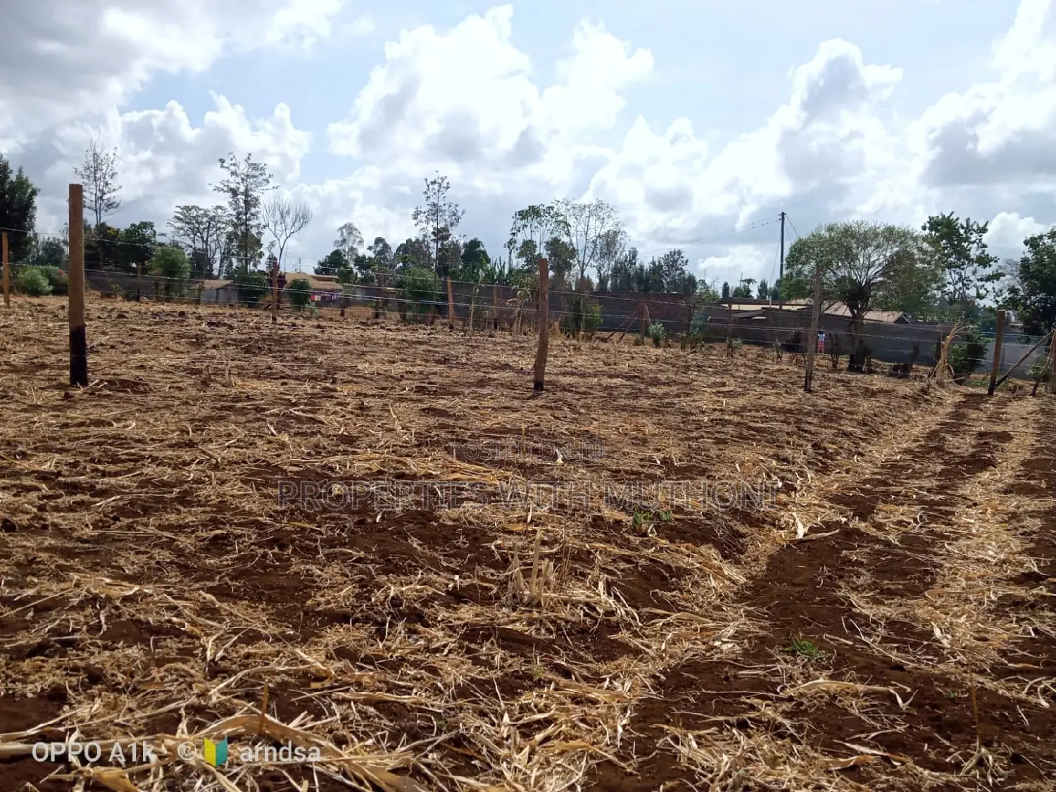 50×100 Plots for Sale in Kagio Town.