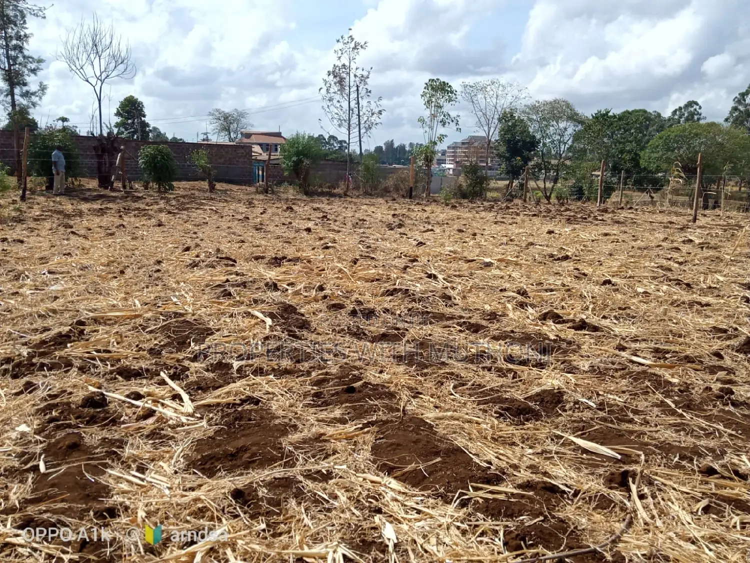 50×100 Plots for Sale in Kagio Town.