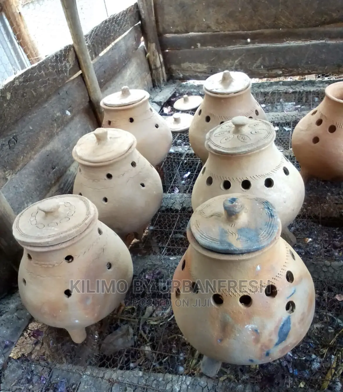 Brooding Pots Capacity 200 Birds