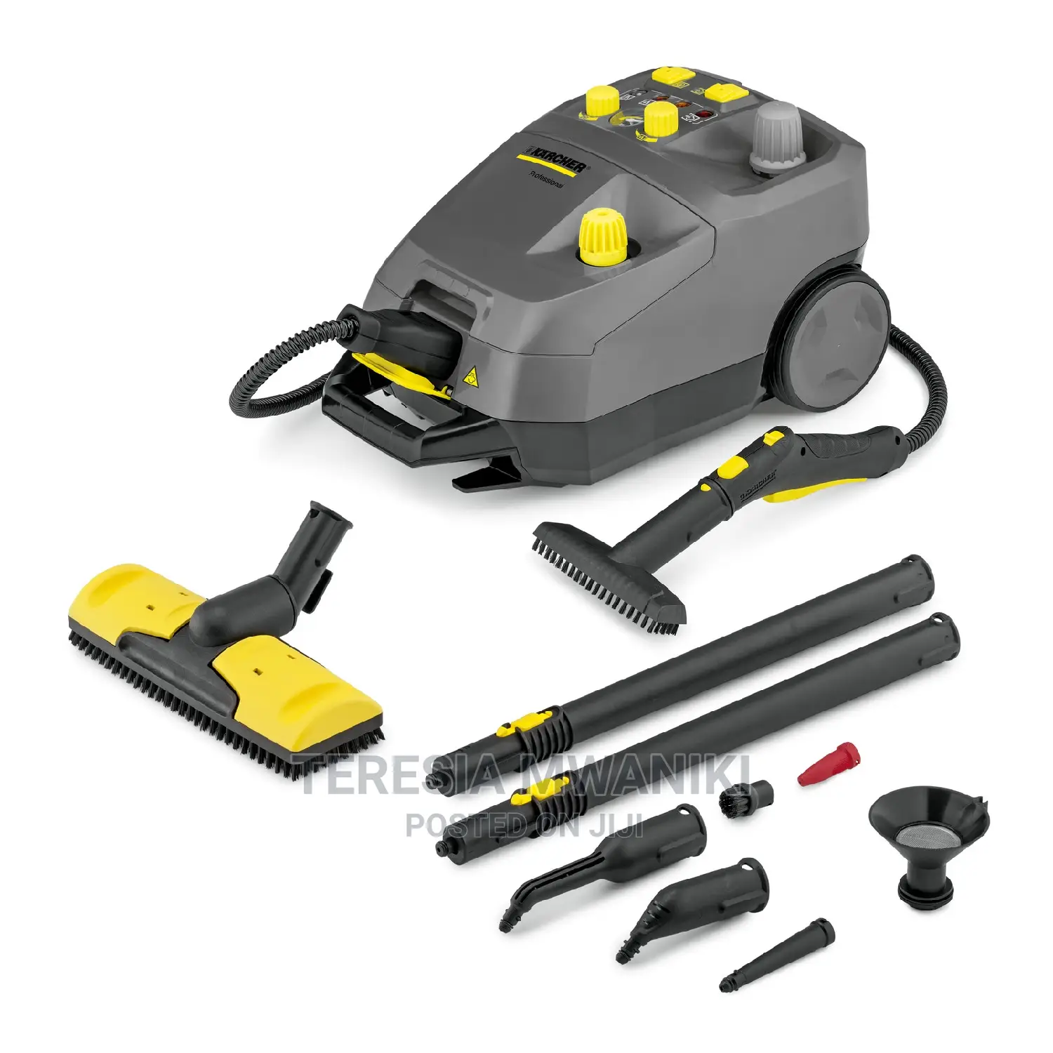 Karcher Steam Cleaner