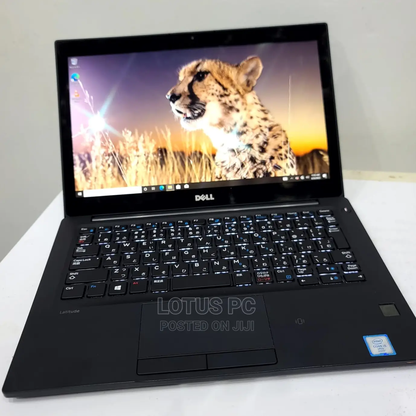 Laptop Dell Latitude 12 8GB Intel Core I5 SSD 256GB