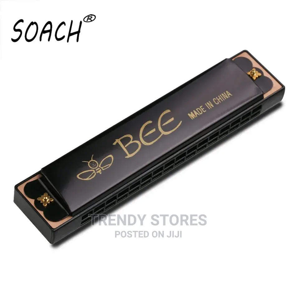 16 Holes Of Key C Harmonica