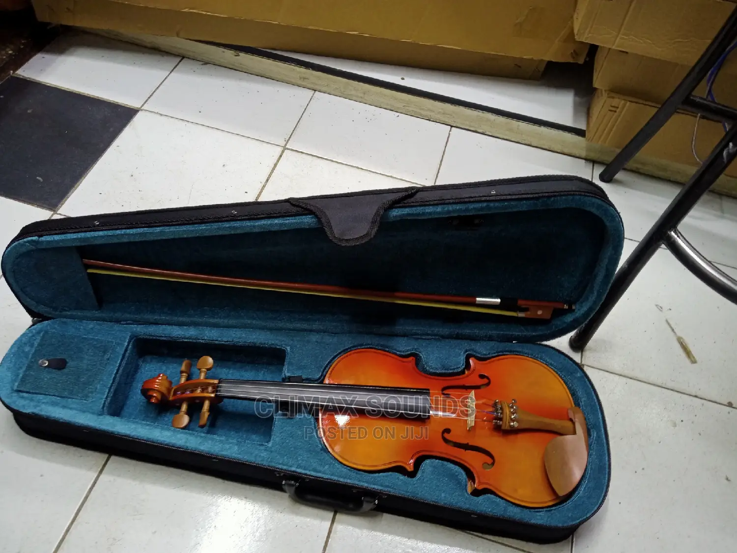 Violin Maples