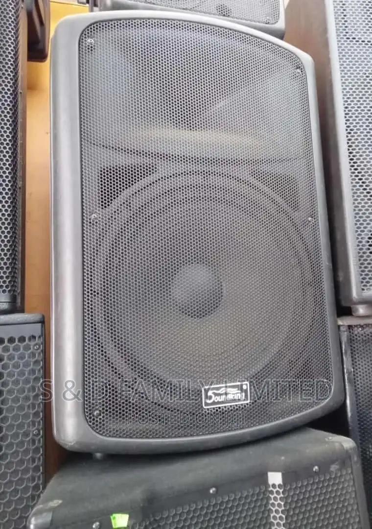 Soundking 12 Inch Mid-Range Speaker