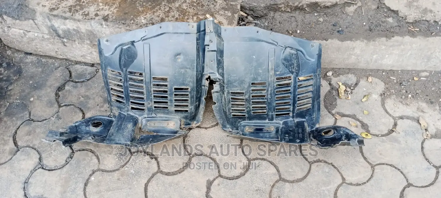 Lexus RX350 Stone Guards