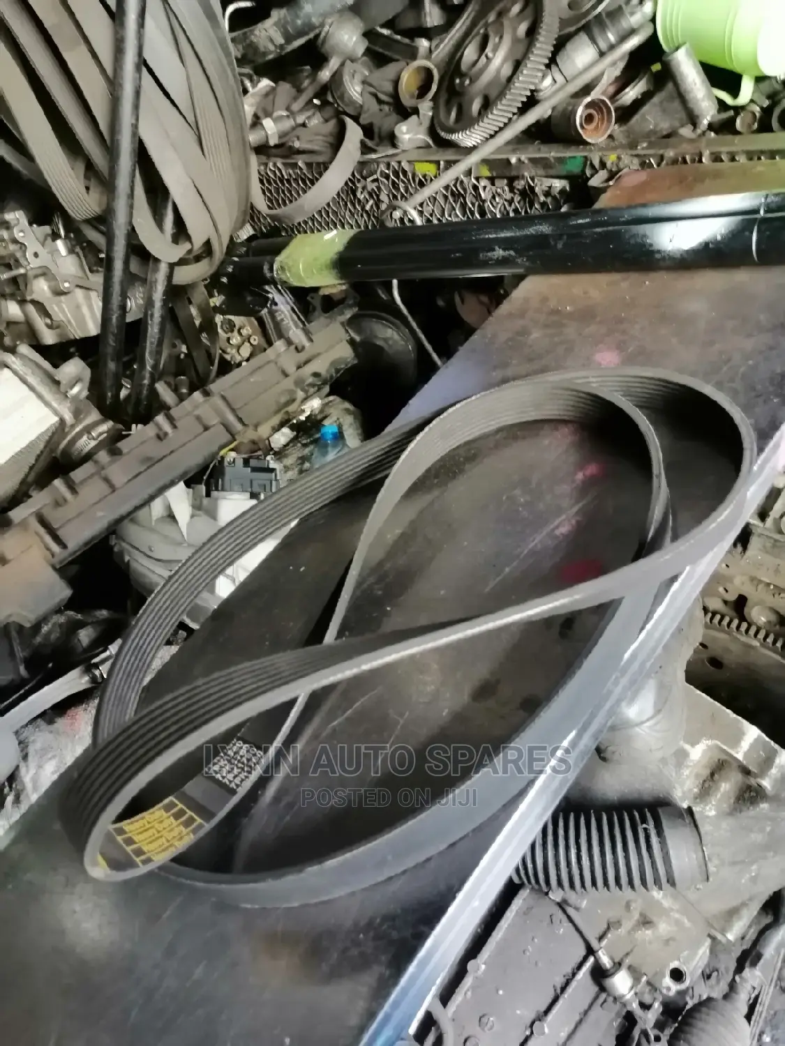 Nissan ZD30 Old Model Fan Belt