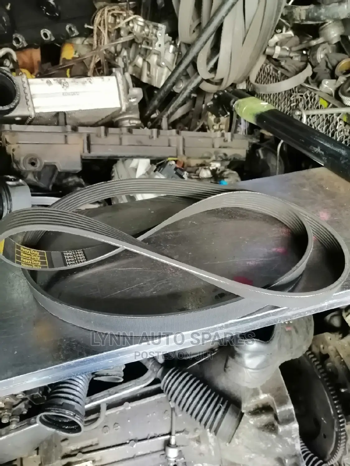 Nissan ZD30 Old Model Fan Belt
