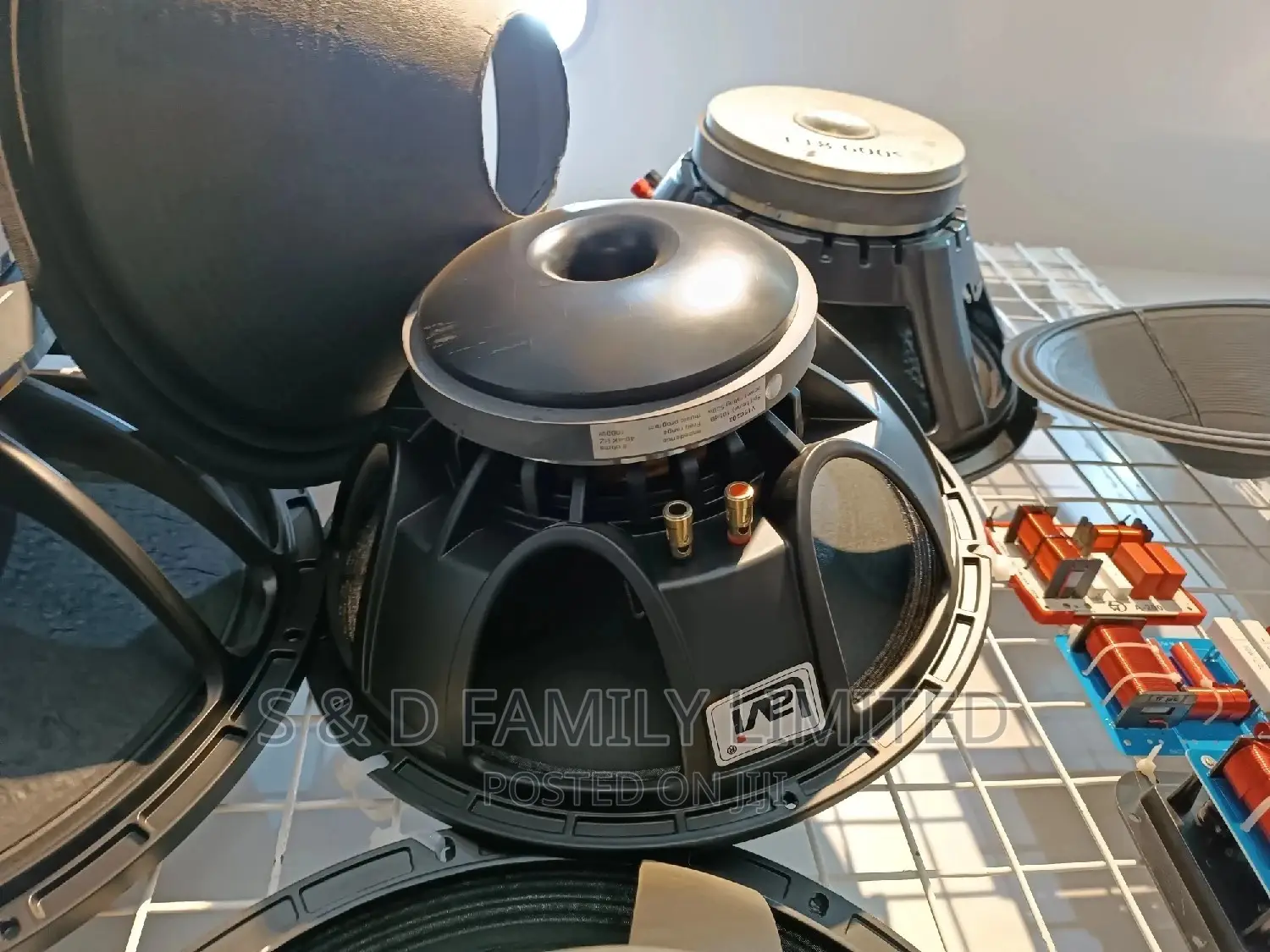 Lavi 15 Inch Naked Speaker