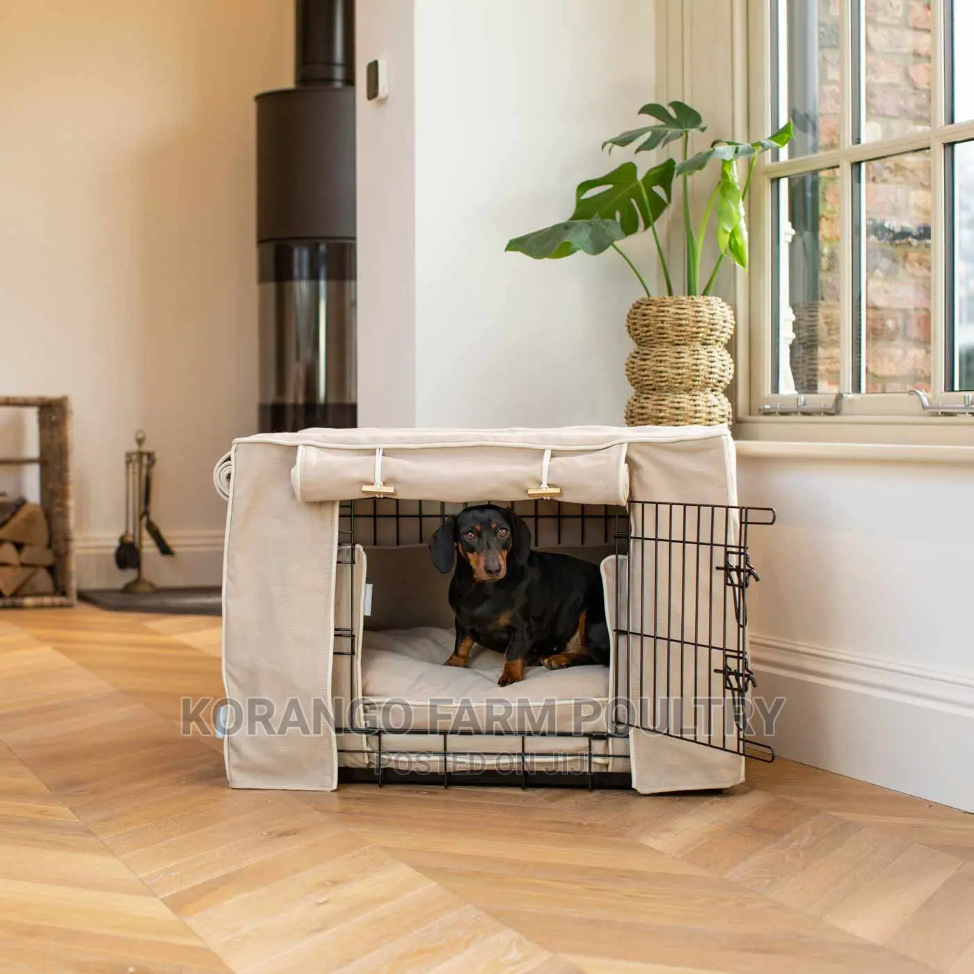 Puppies Cages