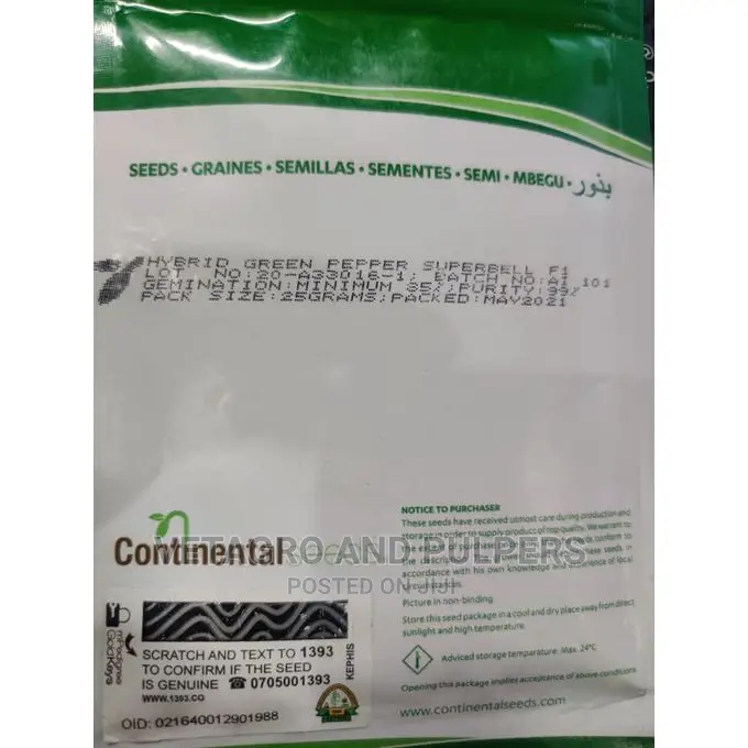Continental Hybrid Capsicum Super Bell F1 (Hoho)