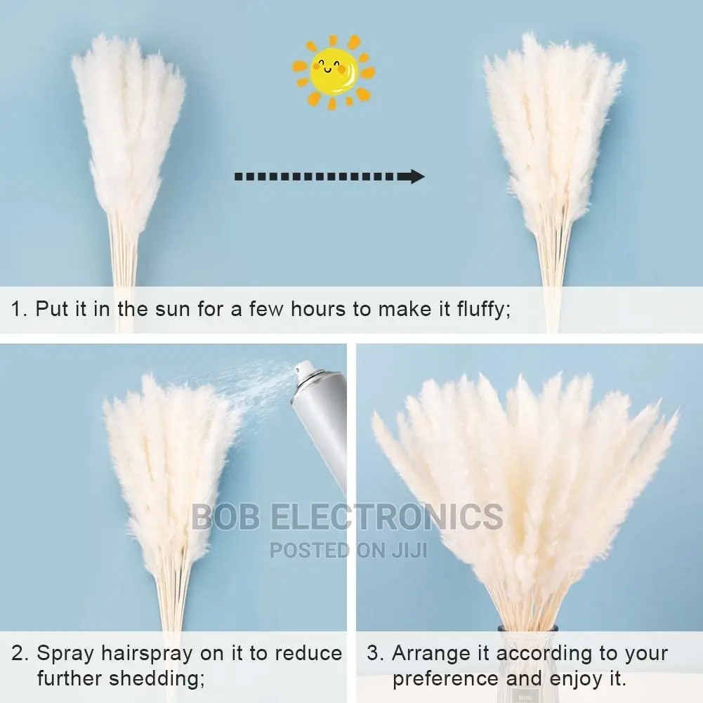 Mini Pampas Grass Available