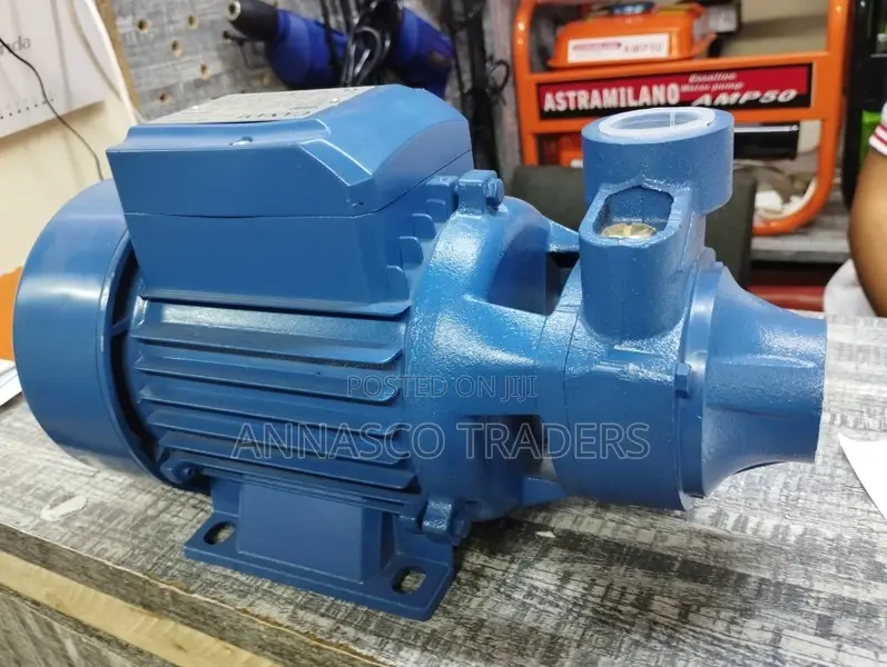 Canam QB80 Water Booster Pump 1HP