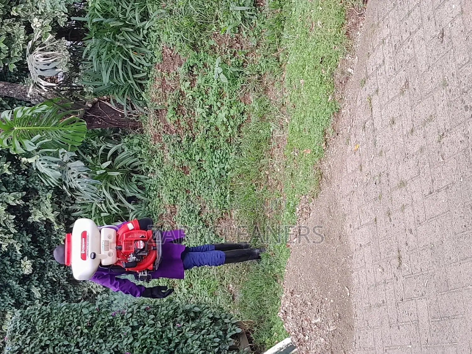 Caterpillar Worms Fumigation Services