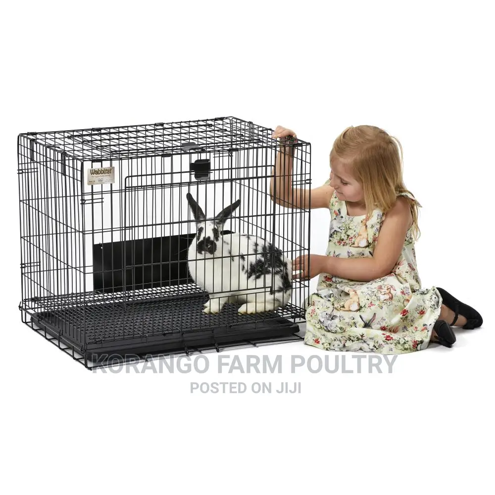 Rabbit Puppies Crates