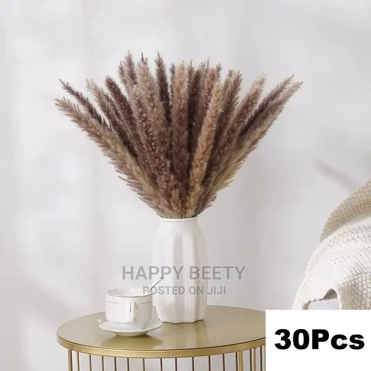 Mini Pampas Grass