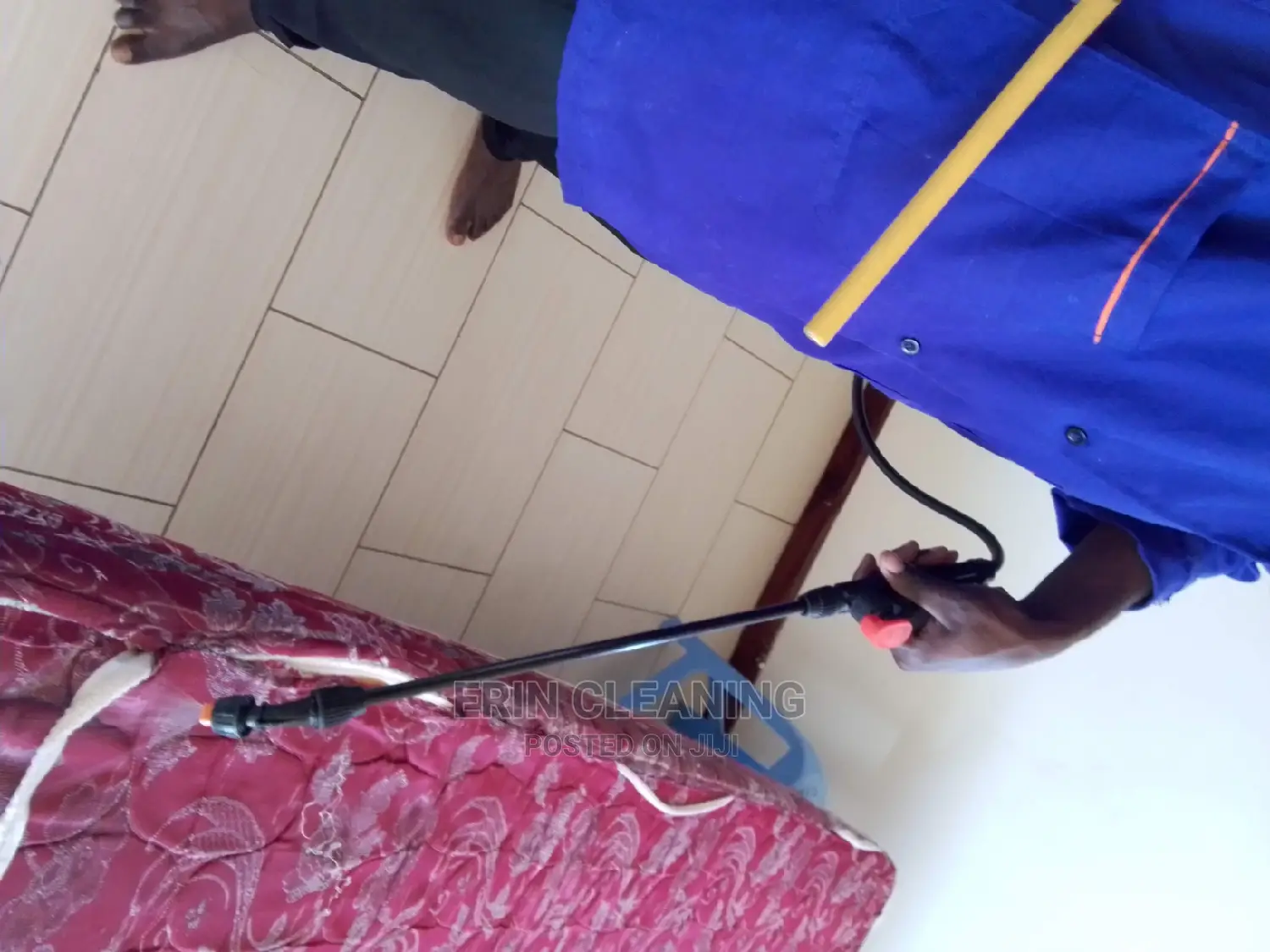 Cockroaches Infestation and Fumigation Services