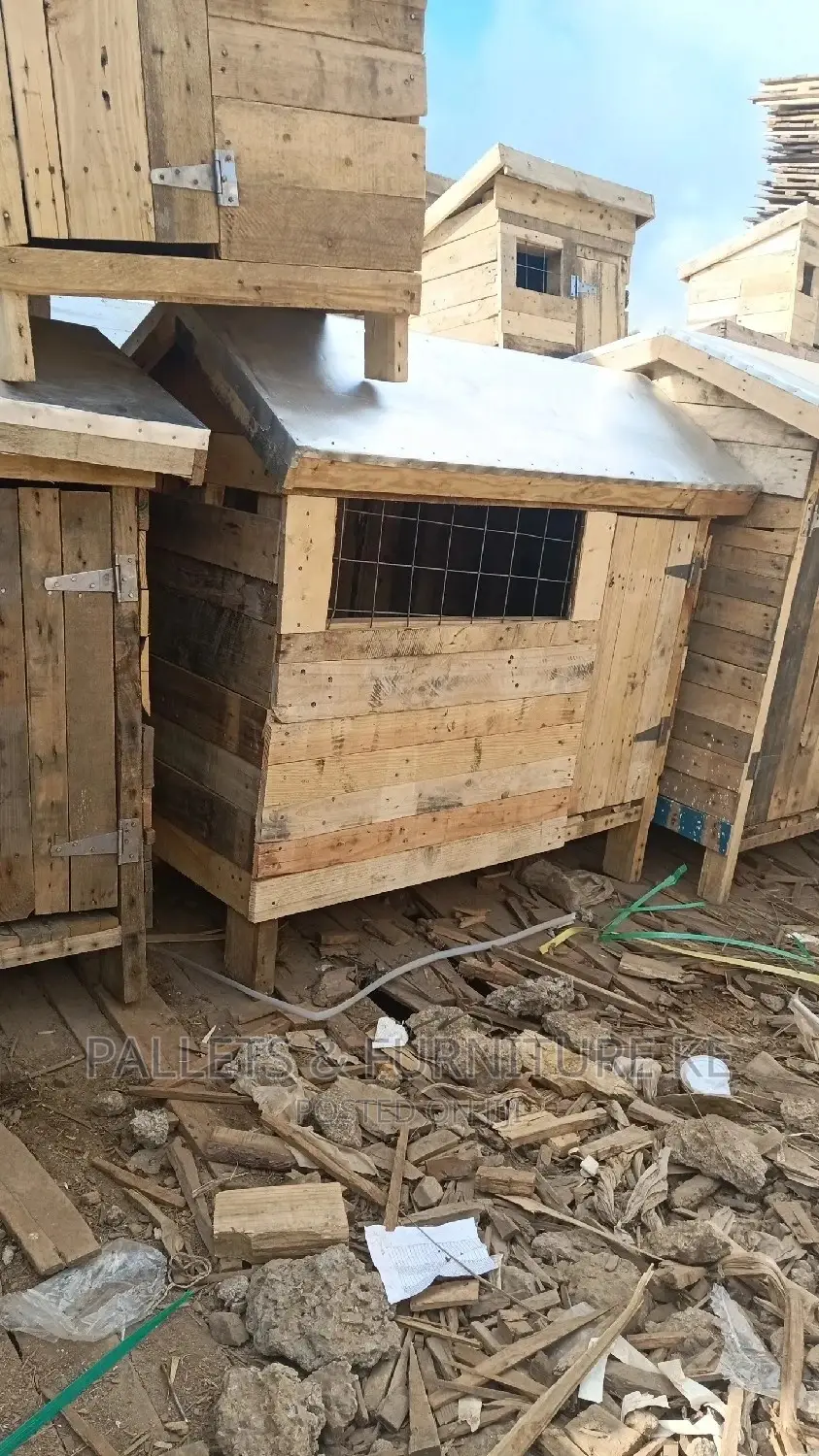 Kennels for Local Breeds