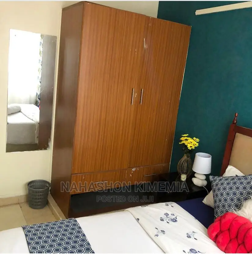 Premier One Bedroom Airbnb TRM Drive Roysambu Thika Road