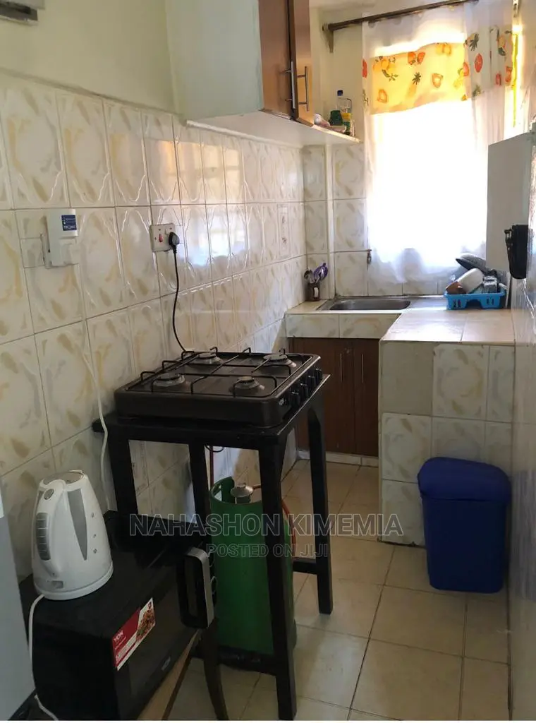 Premier One Bedroom Airbnb TRM Drive Roysambu Thika Road