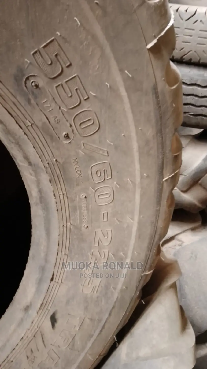 550/60-22.5 Triangle Tyre (Nylon