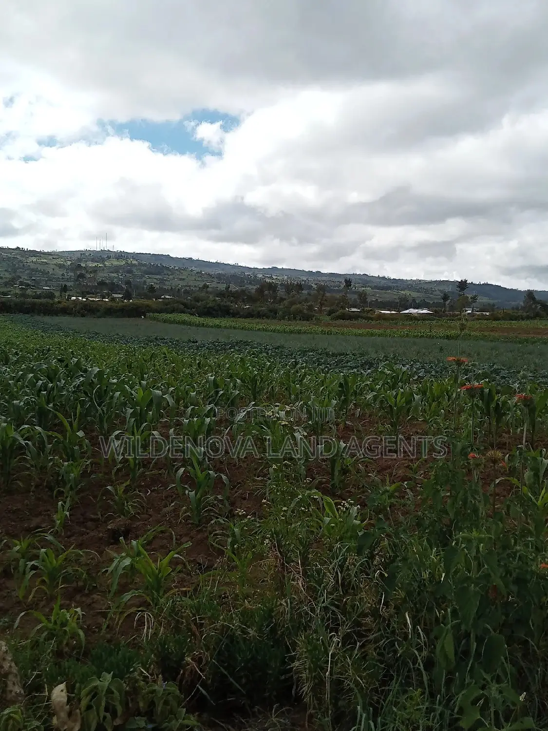 Land on Sale at Naivasha Kiabogo