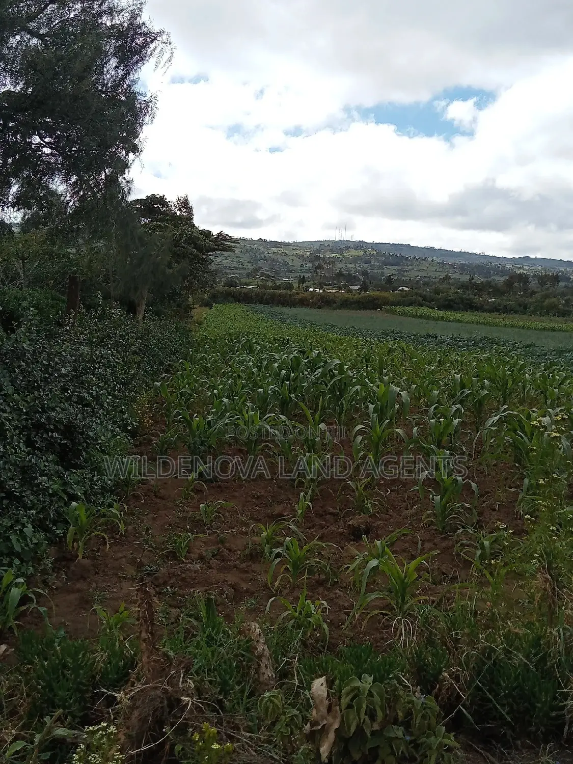 Land on Sale at Naivasha Kiabogo
