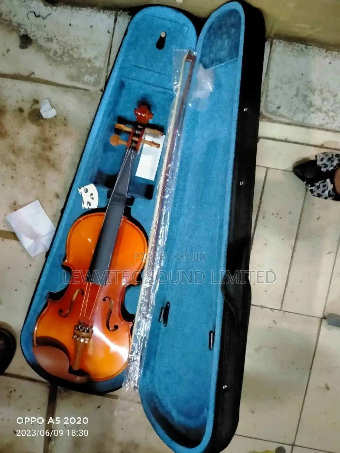 Marple Leaf Big Violin