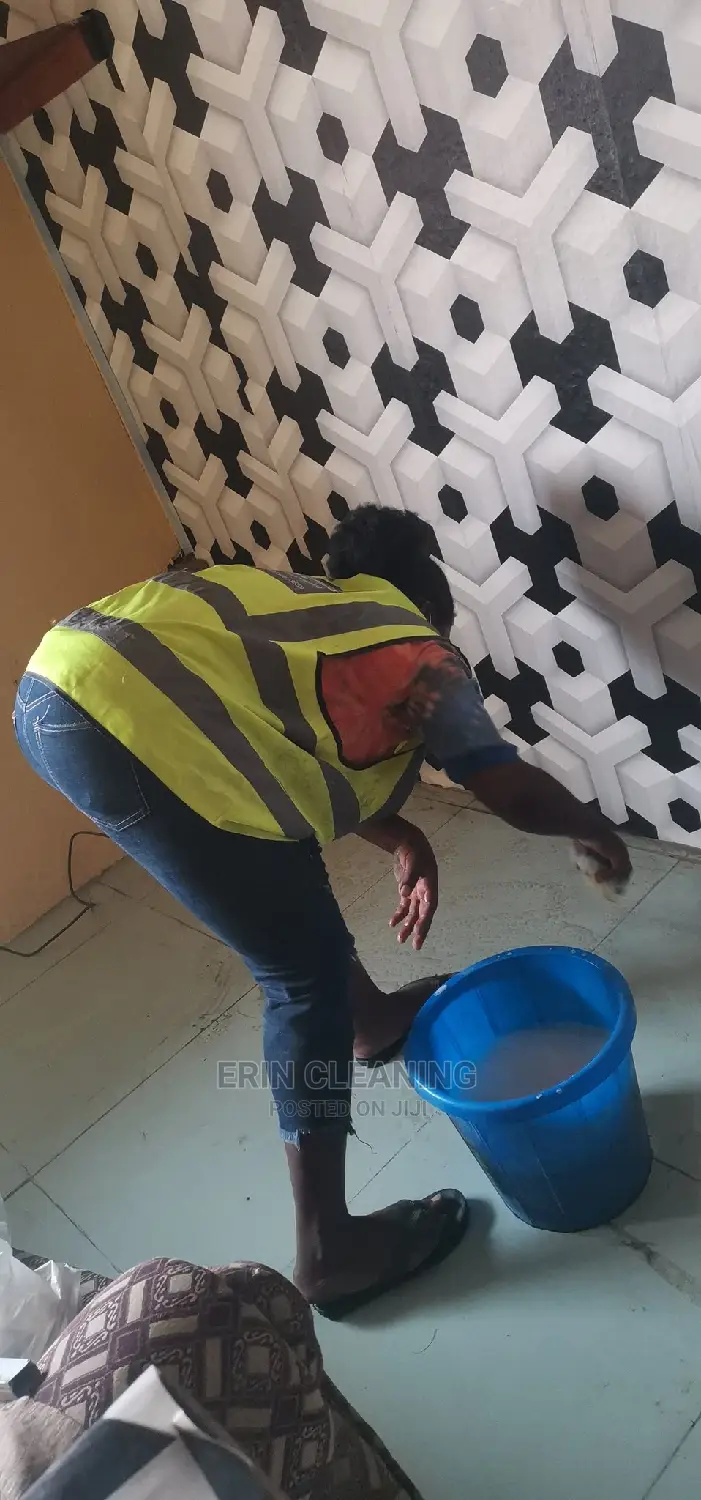 Daily General House Cleaning