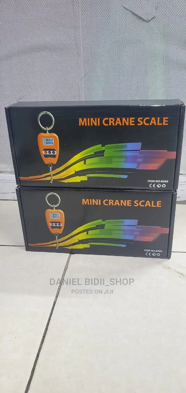 300kg Mini Crane Scale